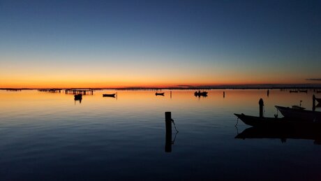 scardovari mare adriaticlams ac vongole alba tramonto porto tolle veneto italia.jpeg